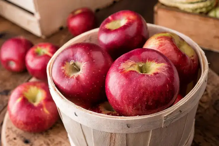 APPLEOO